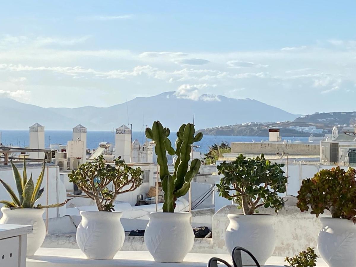 Elaia Luxury Mykonos Holiday home *