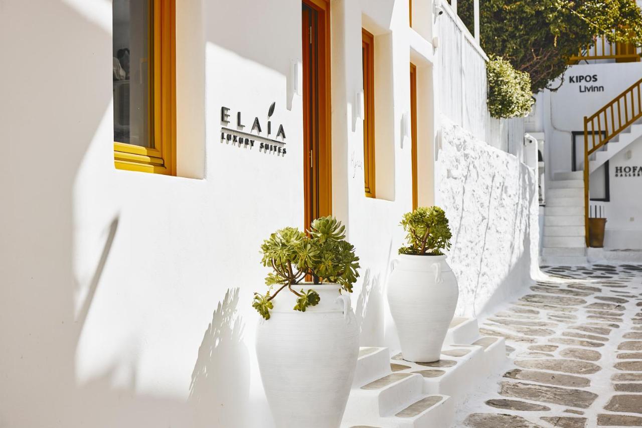 Elaia Luxury Mykonos Holiday home *